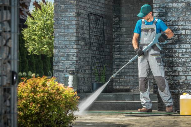 Best Dumpster Area Cleaning  in San Felipe, TX