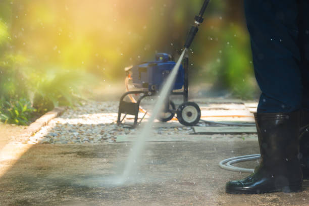 Best Roof Washing  in San Felipe, TX